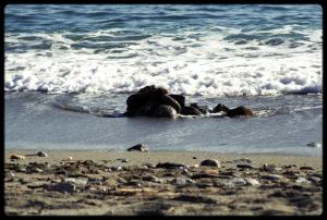 Monterosso Spiaggia